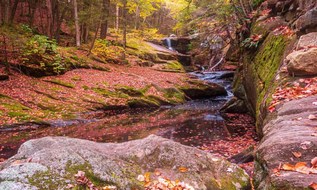 Enders cade nel Connecticut