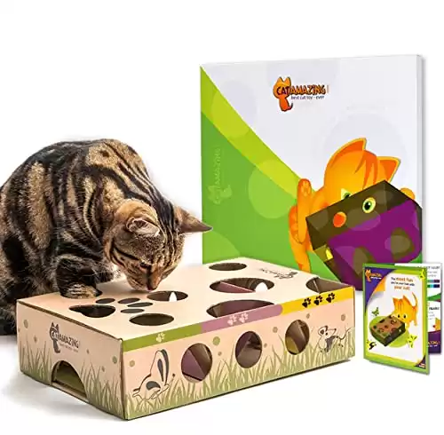 Labirinto interattivo e alimentatore di puzzle per gatti