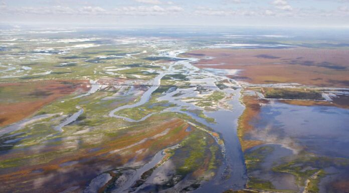 I 10 laghi tropicali più grandi del mondo
