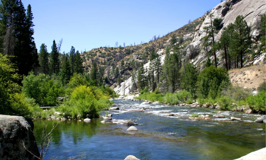 I fiumi più lunghi della California: il fiume Kern