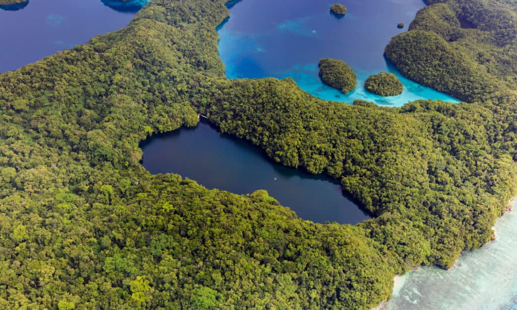 Lago delle Meduse, Palau