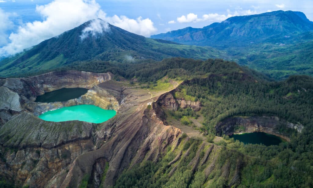 Laghi Tricolore, Indonesia