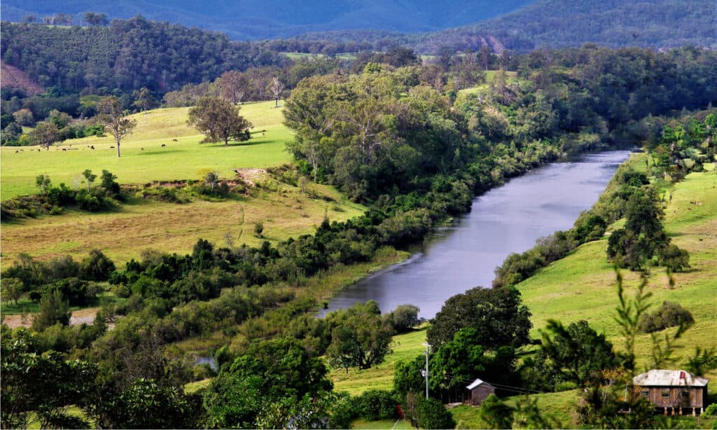 Fiumi più antichi - Macleay River 