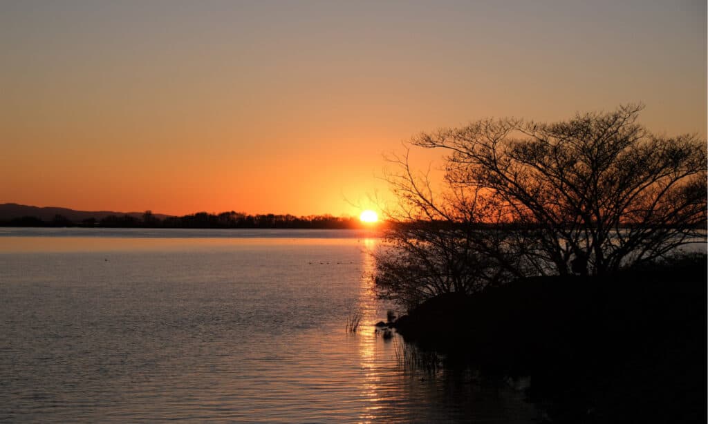 I fiumi più lunghi della California: il fiume Sacramento