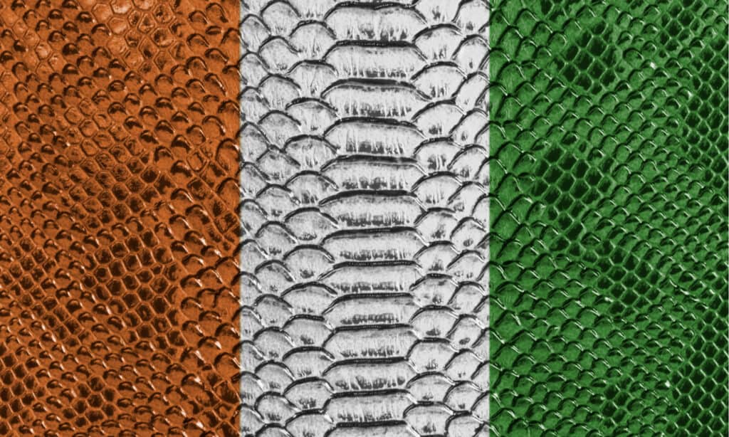 Bandiera dell'Irlanda in pelle di serpente