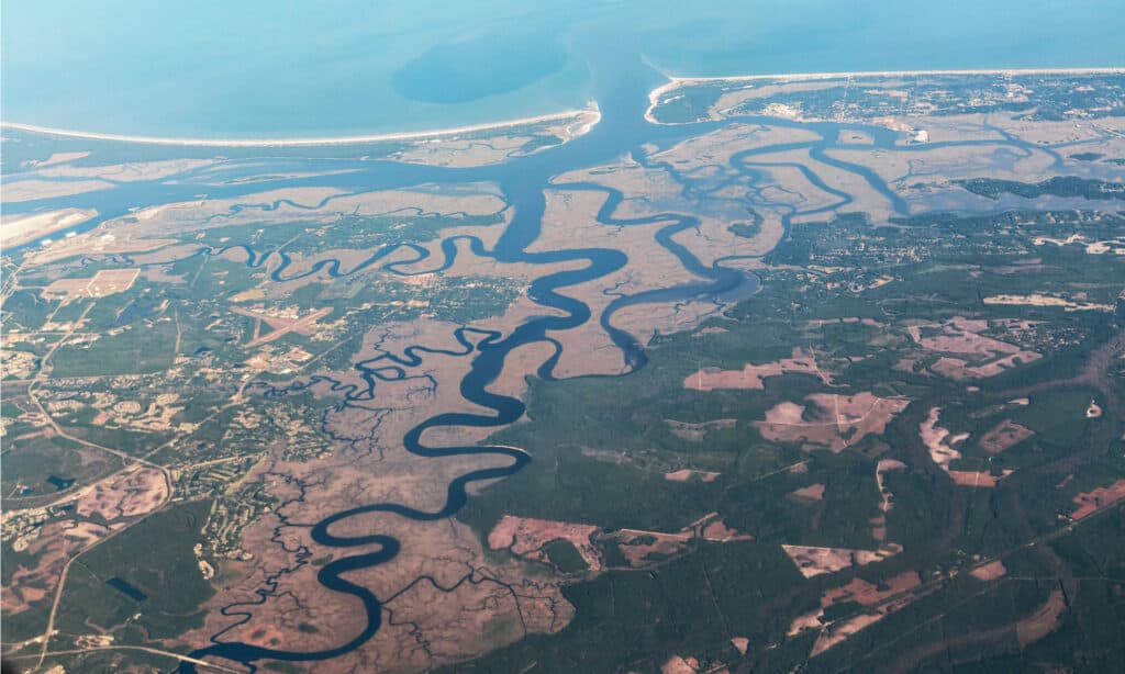 I fiumi più lunghi della Florida: il fiume St Marys