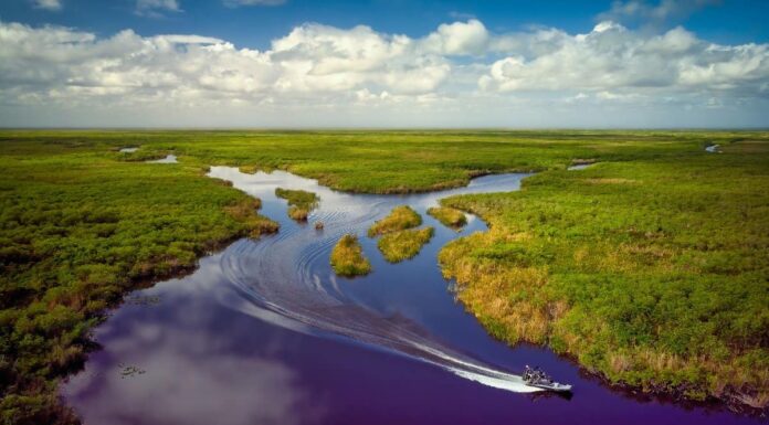 Scopri i 15 fiumi più grandi della Florida

