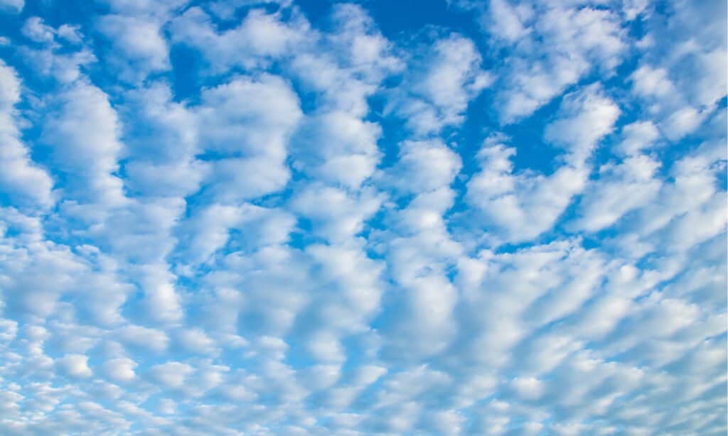 Tipi di nuvole - Cirrocumulus