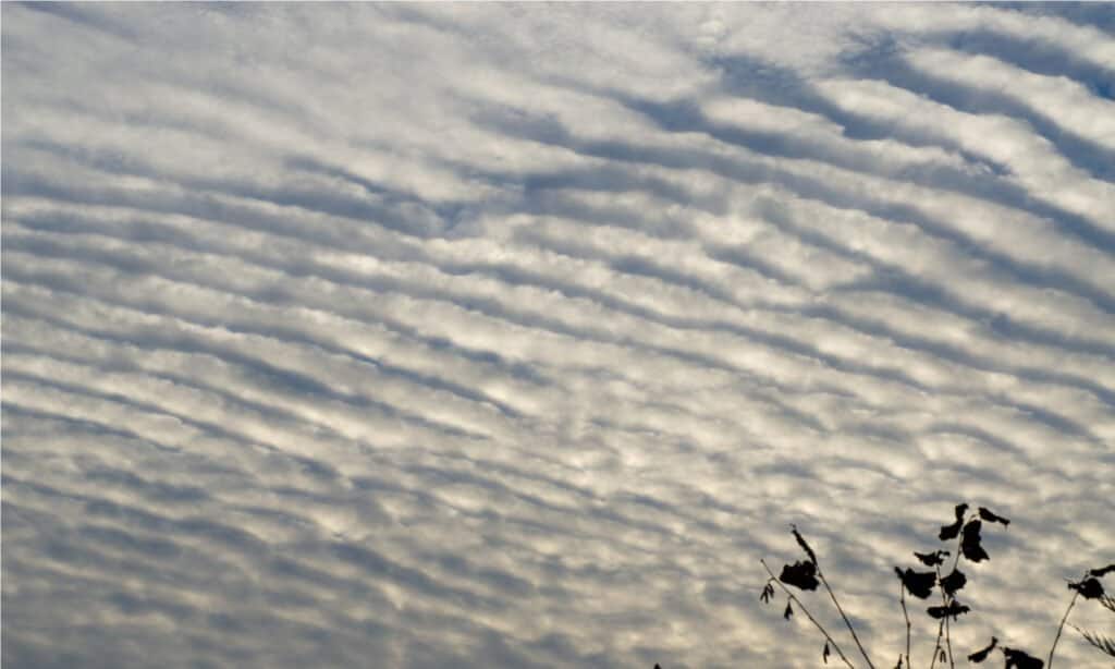 Tipi di nuvole - nuvola altostrato