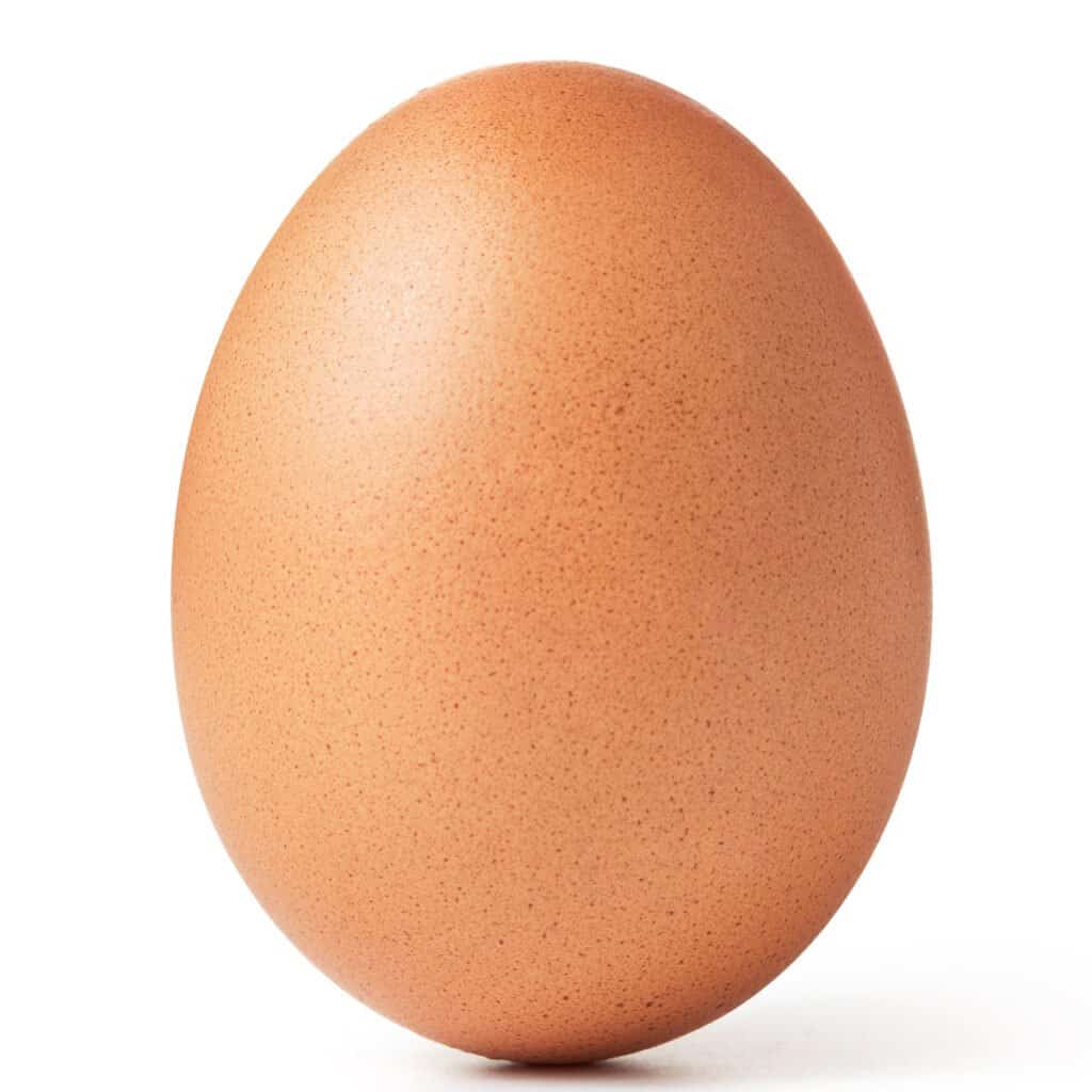 Uovo di tacchino vs uovo di gallina - Uovo di gallina
