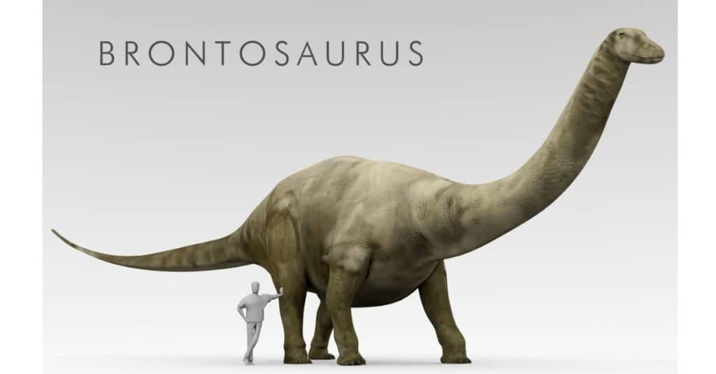 Brontosauro con umano