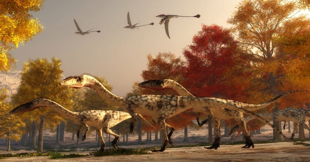 Cosa mangiano gli pterodattili - Dinosauro