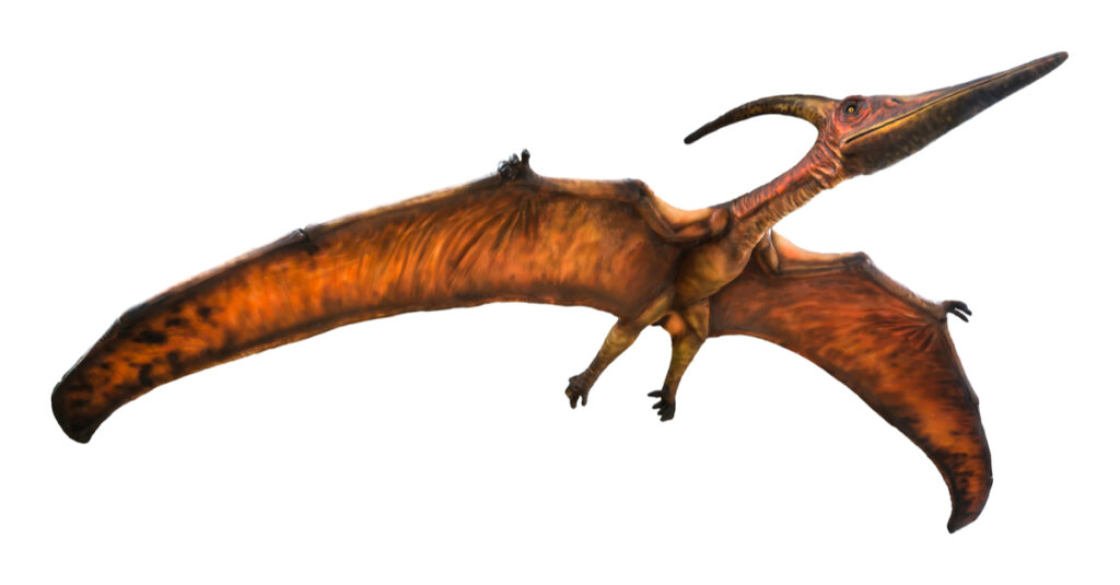 Pterodattilo contro Pteranodonte