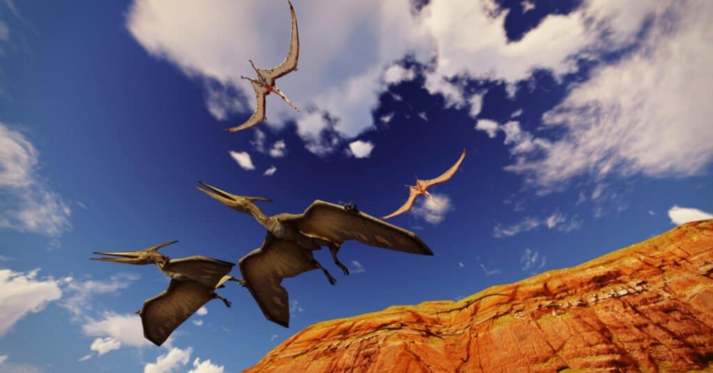 Pterodattilo contro Pteranodonte