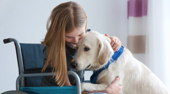 Tipi di cani di supporto emotivo
