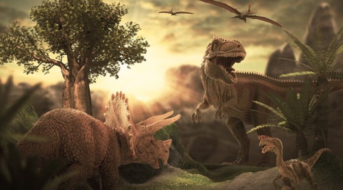 Confronto delle dimensioni dei dinosauri: giganti preistorici
