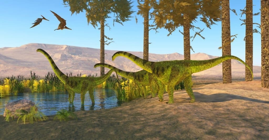 I dinosauri più grandi di sempre: Puertasaurus reuili