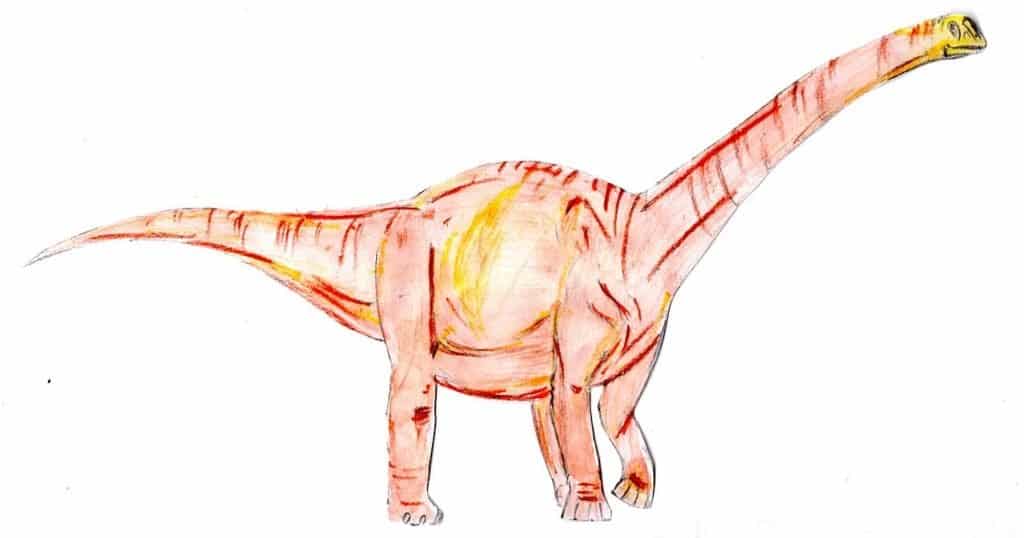 I dinosauri più grandi di sempre: Ruyangosaurus giganteus