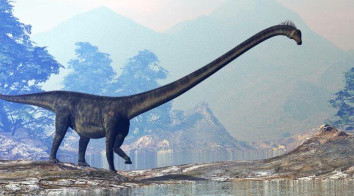 I 10 dinosauri più grandi del mondo di sempre
