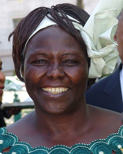 Conservazionisti famosi: Wangari Maathai