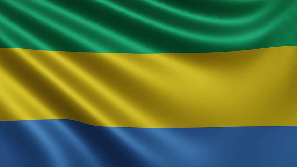 La bandiera del Gabon simboleggia le risorse naturali del paese
