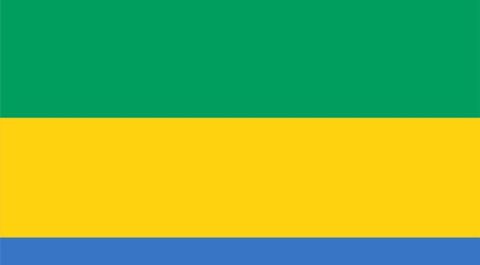 La bandiera del Gabon: storia, significato e simbolismo
