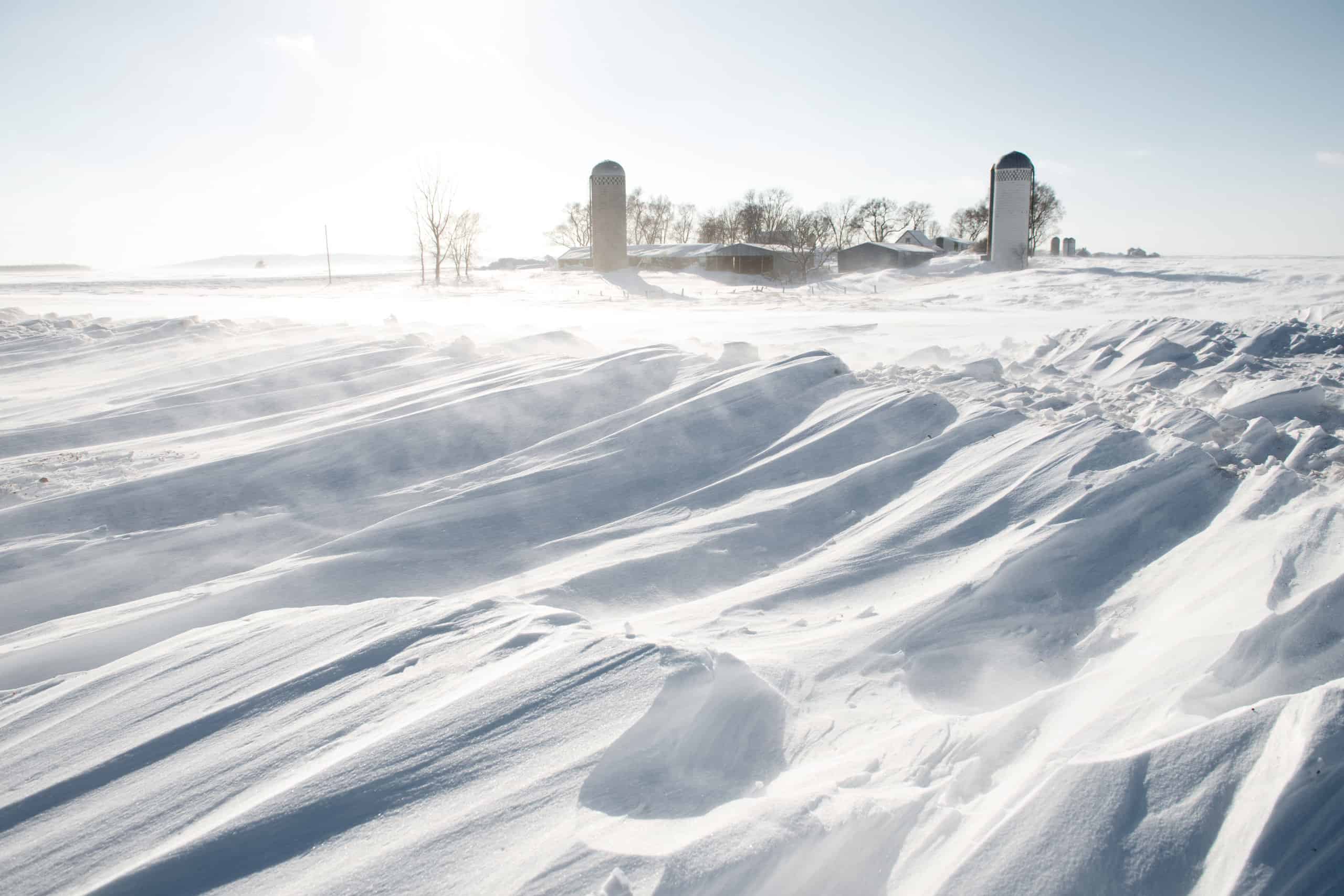 Forti nevicate in Minnesota