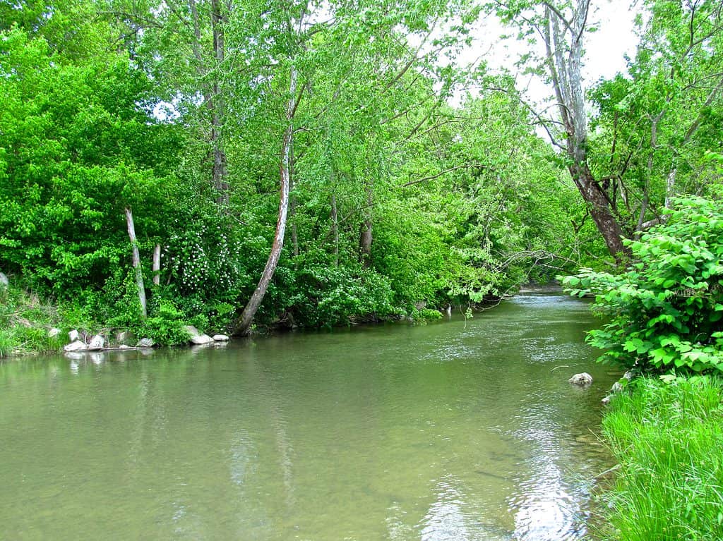 Fiume Dix nel Kentucky