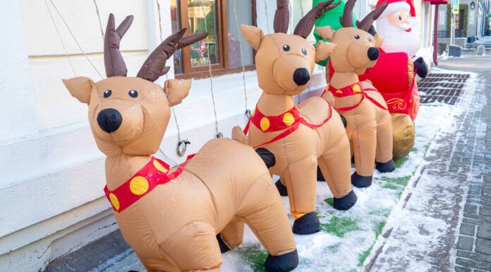 Guarda un orso che attacca una decorazione natalizia gonfiabile con una renna
