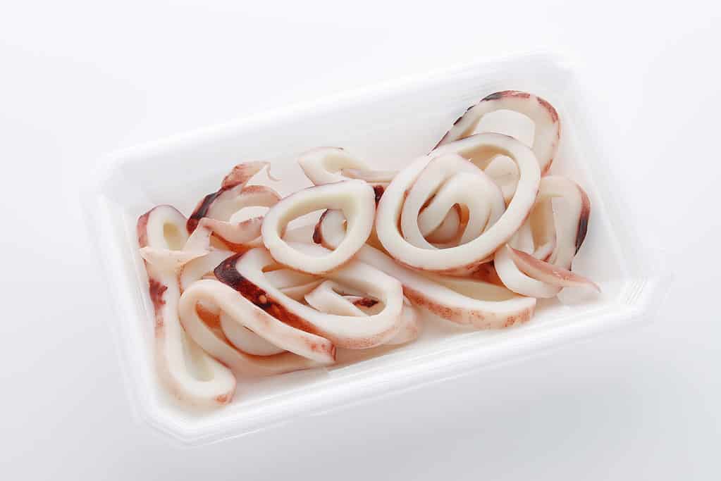 Calamari bolliti