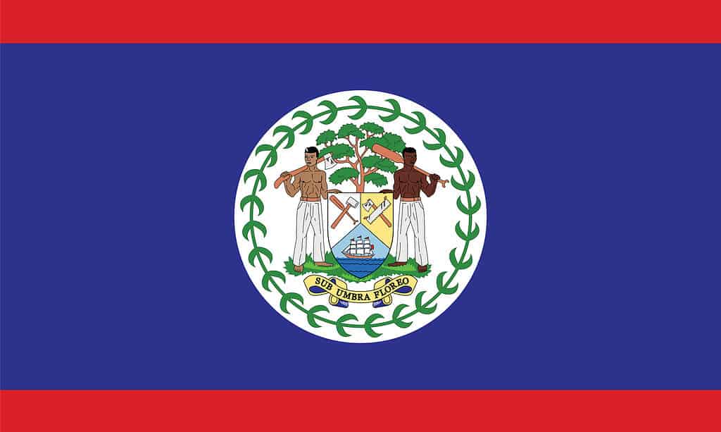 Illustrazione di Vektor della bandiera nazionale del Belize
