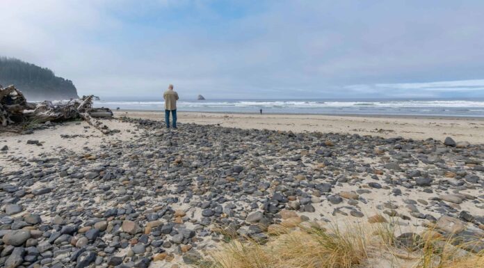 9 bellissimi tipi di rocce in Oregon
