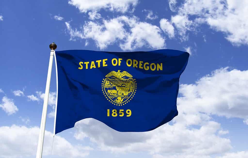 Bandiera dell'Oregon che fluttua nel vento