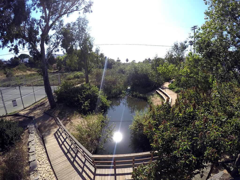 Cottonwood Creek a Encinitas, California, vicino a San Diego - Piscina vicino a San Diego