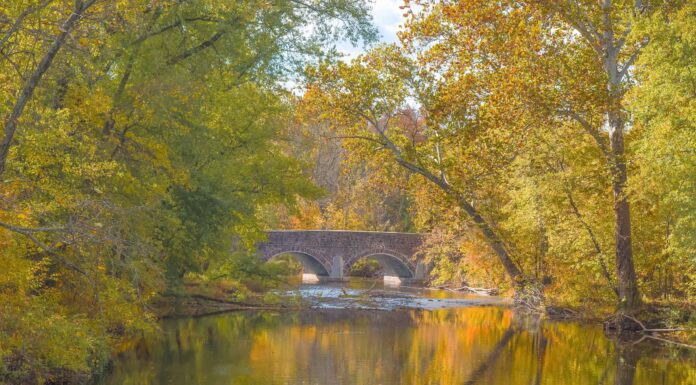 Le migliori buche per nuotare in Pennsylvania
