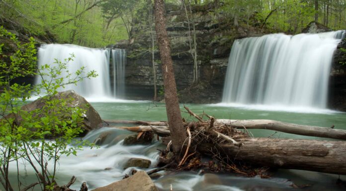 Le migliori buche per nuotare in Arkansas
