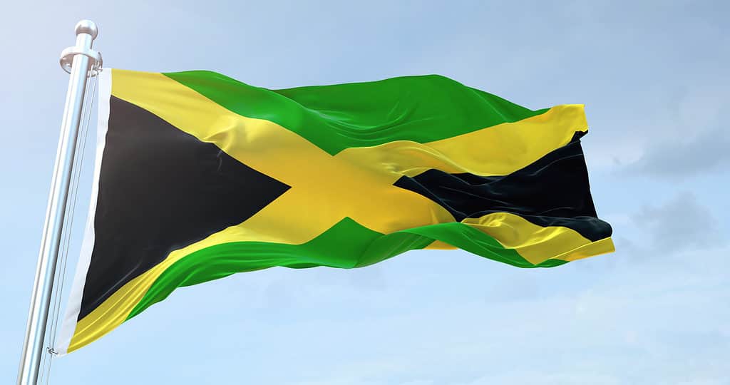 Bandiera della Giamaica che fluttua nel vento