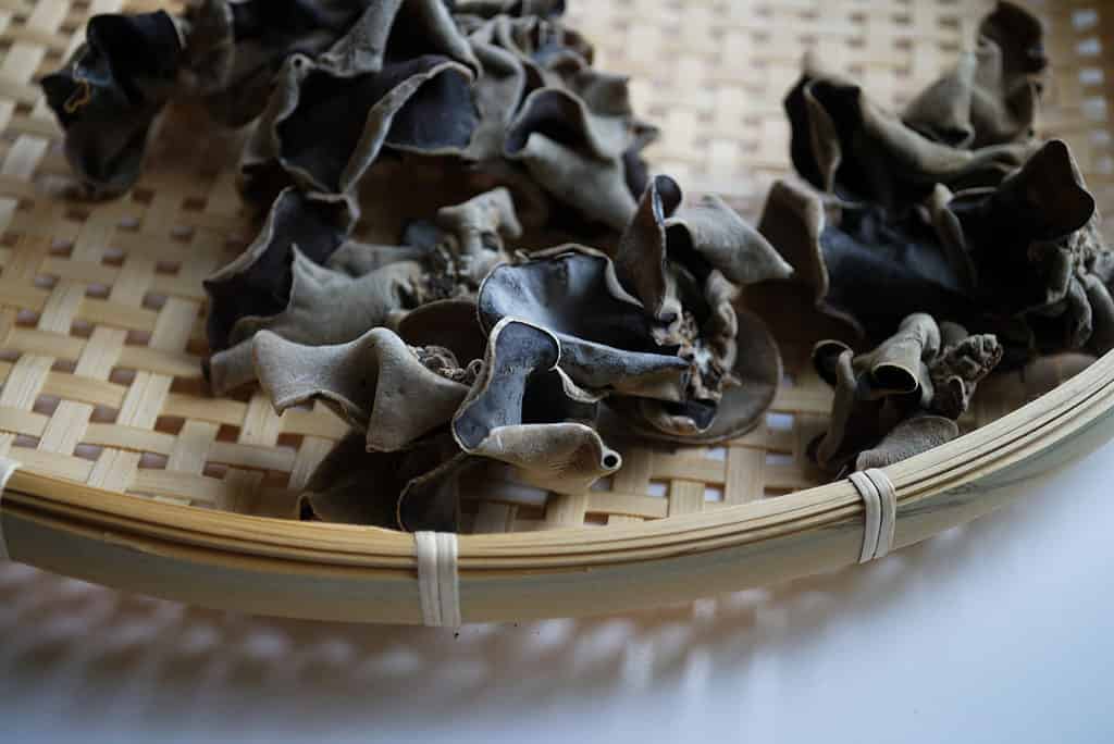 funghi secchi dell'orecchio di legno nero in un cesto