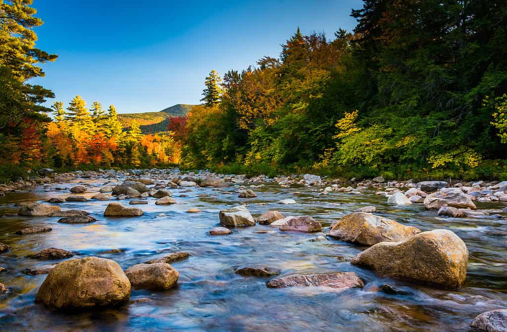 Swift River nel New Hampshire