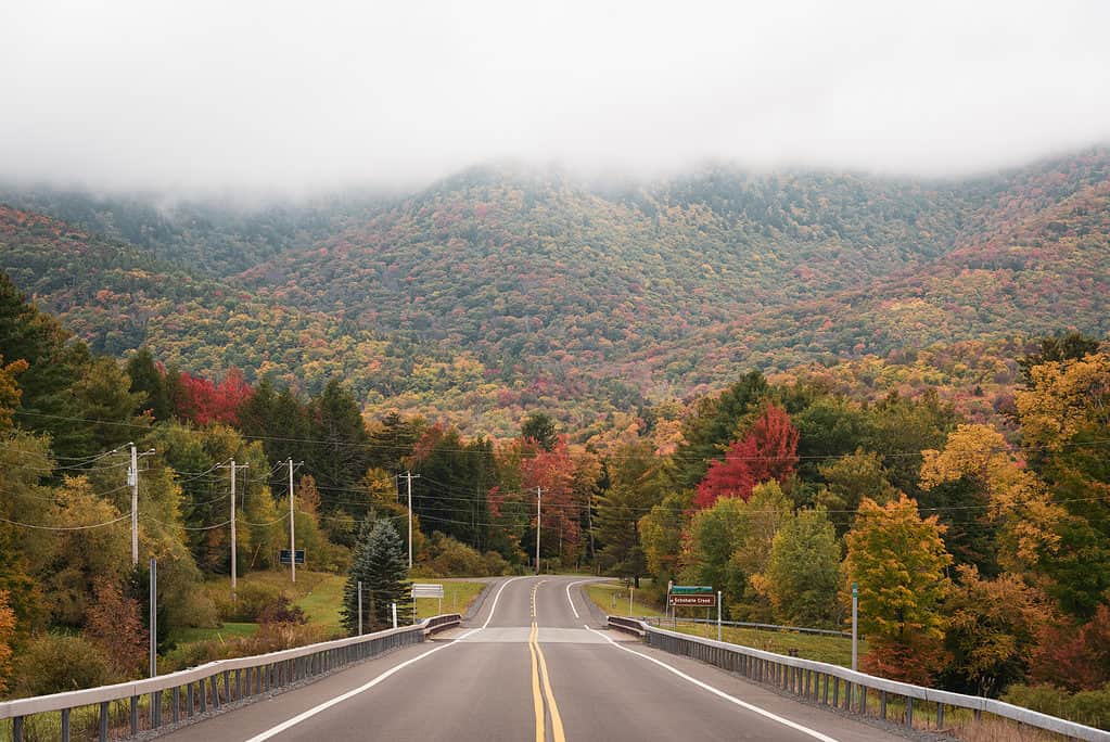 Strada che conduce alle montagne di Catskills, New York