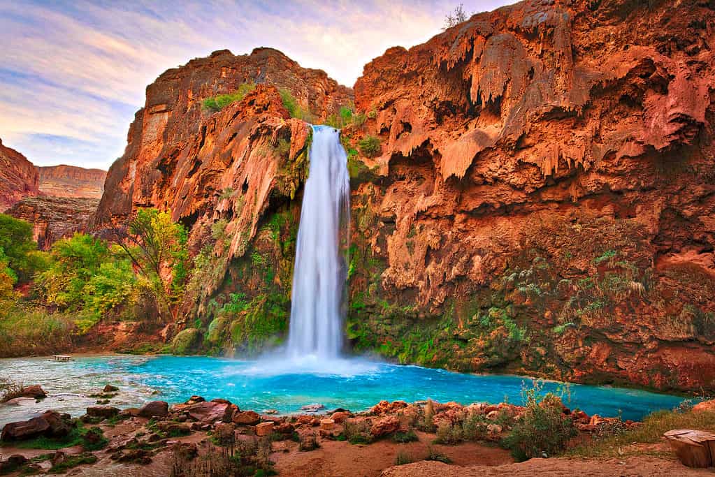 Havasu Falls, fori di nuoto dell'Arizona
