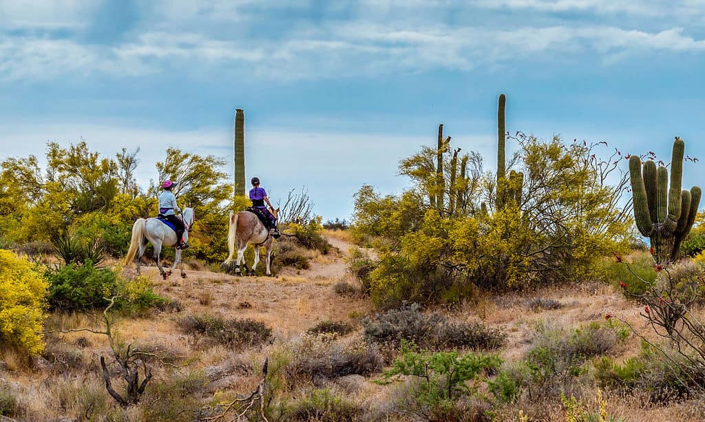 Donne A Cavallo Su Un Sentiero Nel Deserto In Arizona