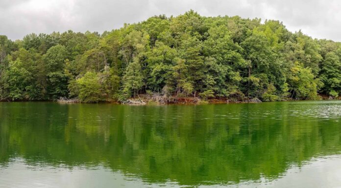 Scopri il lago più profondo della Virginia
