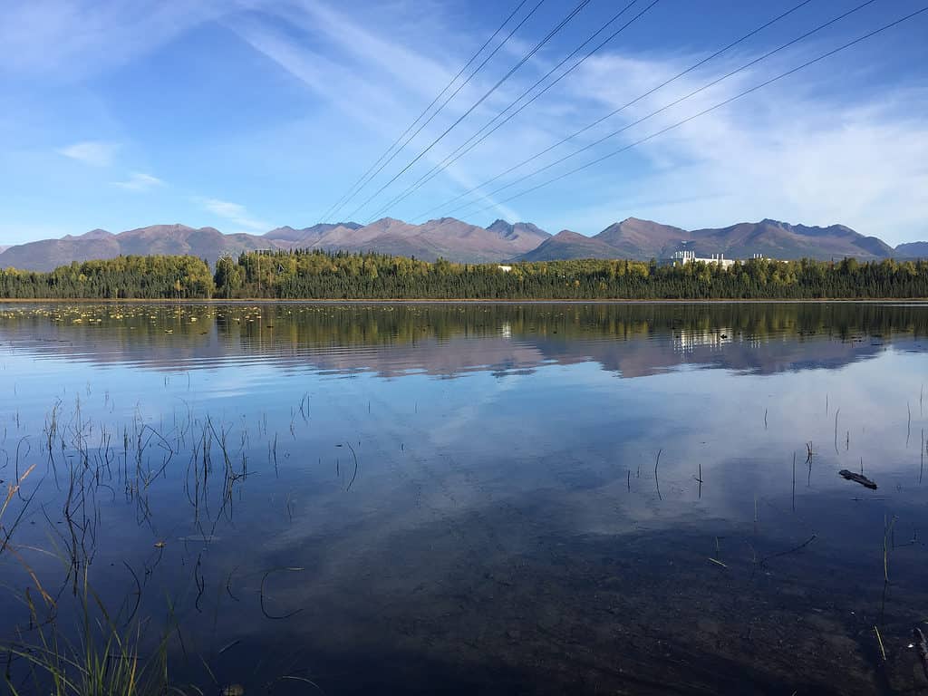 Goose Lake ad Anchorage, in Alaska