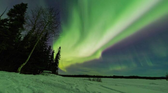 Le migliori buche per nuotare in Alaska
