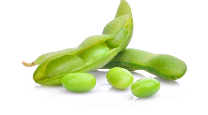 Edamame contro fagioli di Lima: qual è la differenza?
