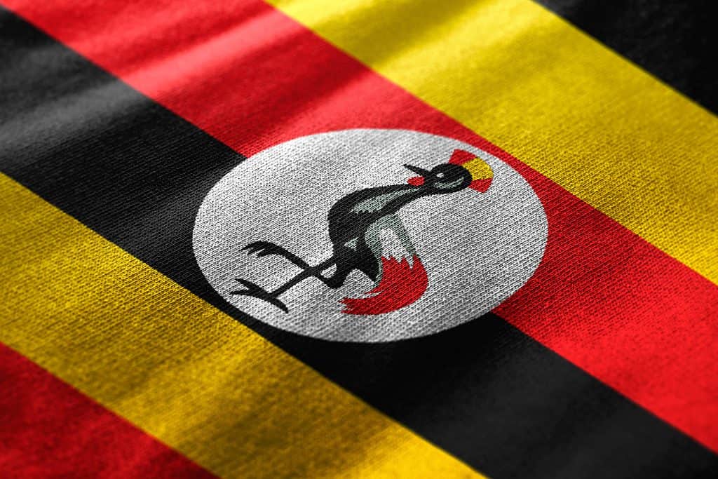 Bandiera dell'Uganda da vicino