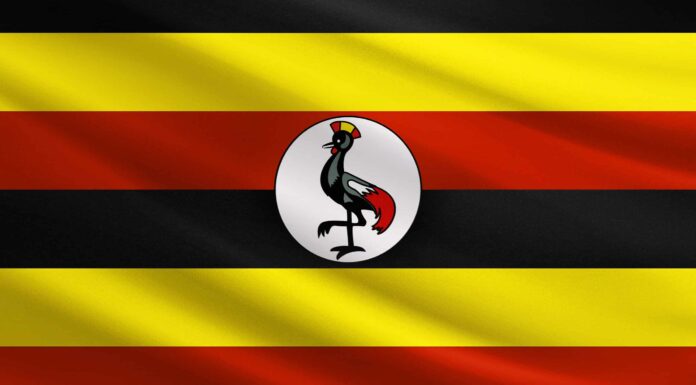 La bandiera dell'Uganda: storia, significato e simbolismo
