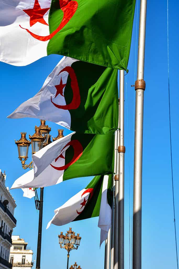 Bandiera dell'Algeria 