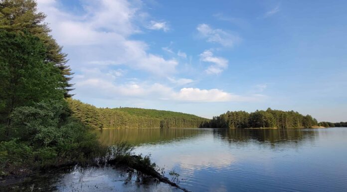 Scopri il lago più profondo del Massachusetts
